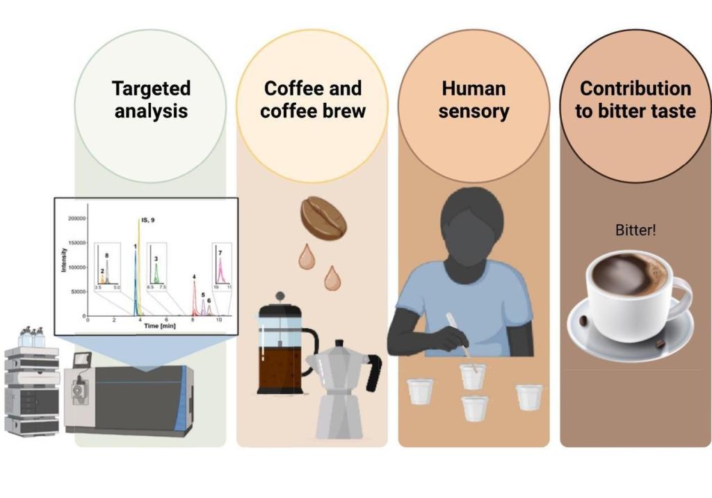 Visualisierung Studie Bitterstoffe im Kaffee