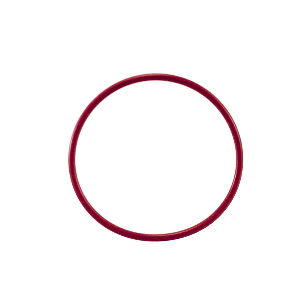 Rancilio Dichtung Heizung  Miss Silvia