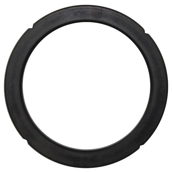 Rancilio Brühkopfdichtung  Silvia / Nancy / Aundrey