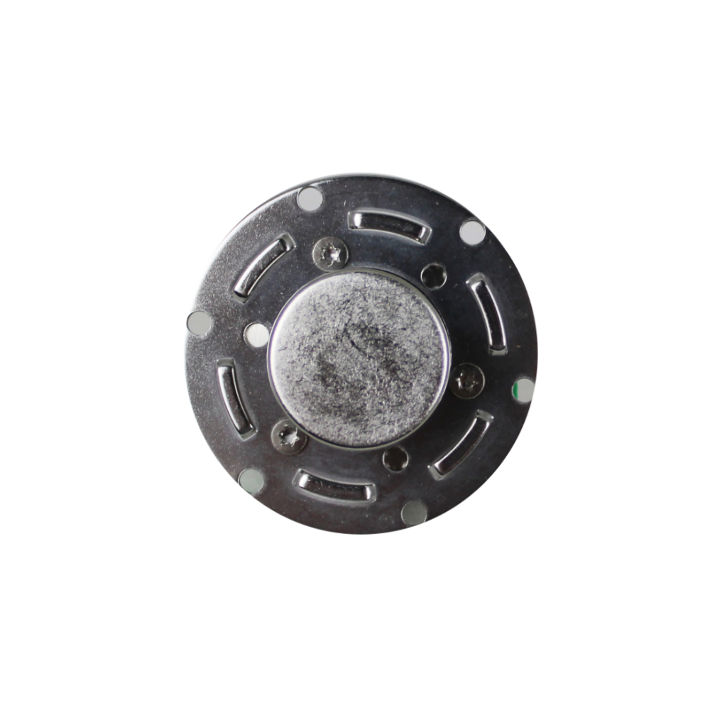 Schaerer Pumpe Inox